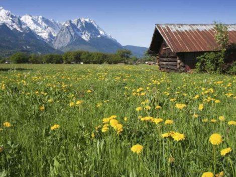 Apartamento Alpenkette Garmisch-Partenkirchen Exterior foto